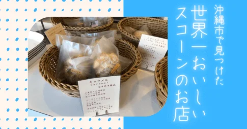 無添加のサクサクスコーン